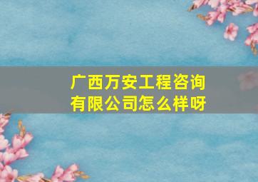 广西万安工程咨询有限公司怎么样呀