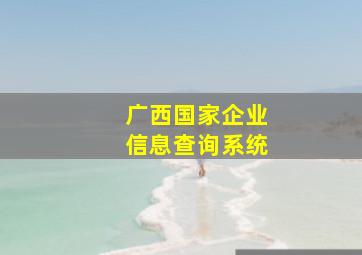 广西国家企业信息查询系统