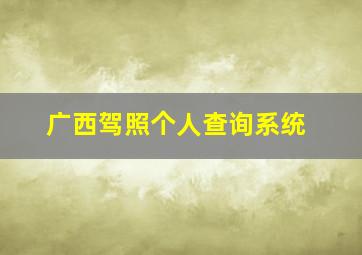 广西驾照个人查询系统