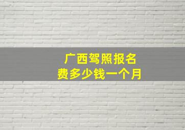 广西驾照报名费多少钱一个月