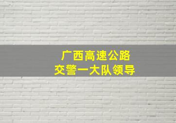 广西高速公路交警一大队领导