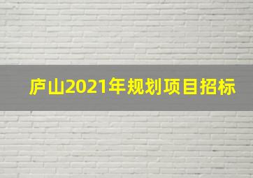 庐山2021年规划项目招标