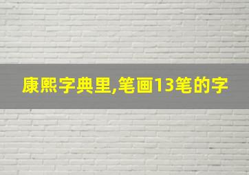 康熙字典里,笔画13笔的字