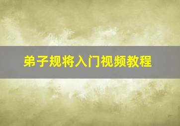 弟子规将入门视频教程