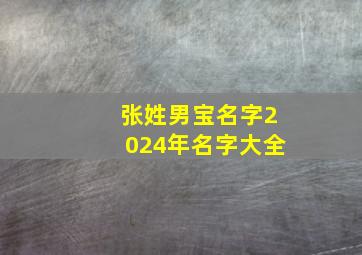 张姓男宝名字2024年名字大全