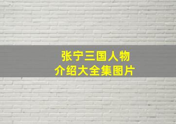 张宁三国人物介绍大全集图片