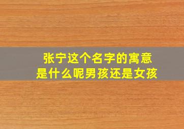 张宁这个名字的寓意是什么呢男孩还是女孩