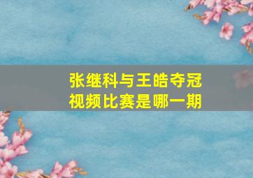 张继科与王皓夺冠视频比赛是哪一期