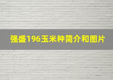 强盛196玉米种简介和图片