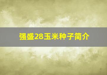 强盛28玉米种子简介