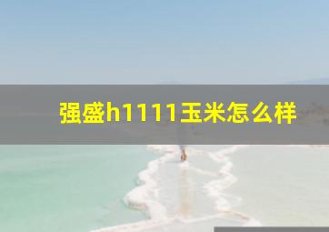 强盛h1111玉米怎么样