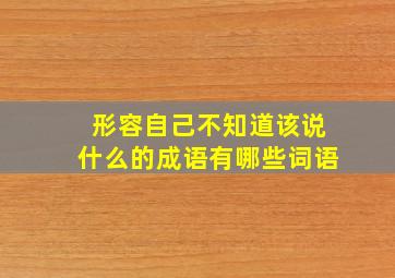 形容自己不知道该说什么的成语有哪些词语