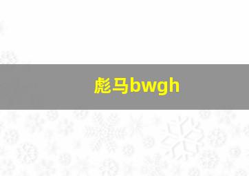 彪马bwgh