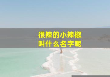 很辣的小辣椒叫什么名字呢