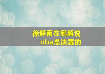 徐静雨在哪解说nba总决赛的