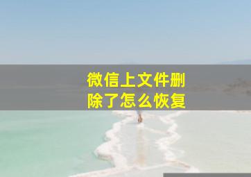 微信上文件删除了怎么恢复