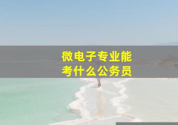 微电子专业能考什么公务员