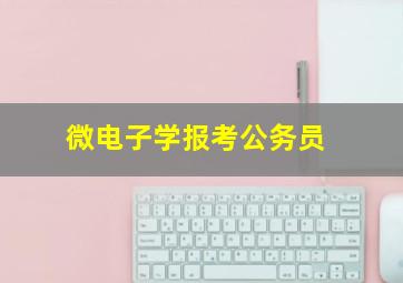 微电子学报考公务员