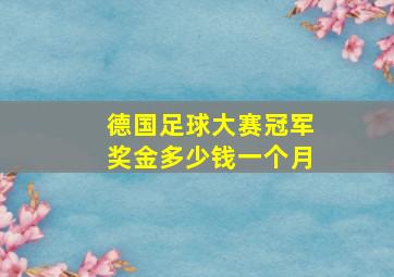 德国足球大赛冠军奖金多少钱一个月