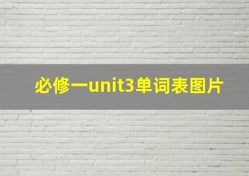 必修一unit3单词表图片