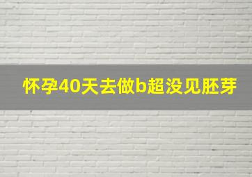 怀孕40天去做b超没见胚芽