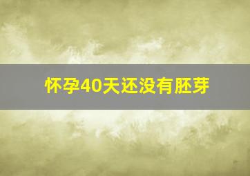 怀孕40天还没有胚芽