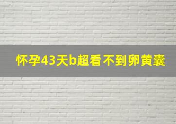 怀孕43天b超看不到卵黄囊