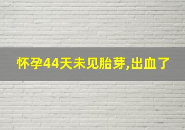 怀孕44天未见胎芽,出血了