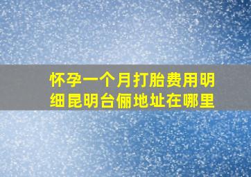 怀孕一个月打胎费用明细昆明台俪地址在哪里