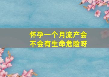 怀孕一个月流产会不会有生命危险呀