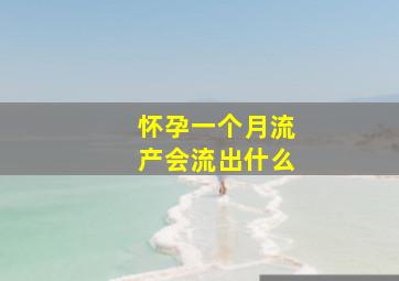 怀孕一个月流产会流出什么