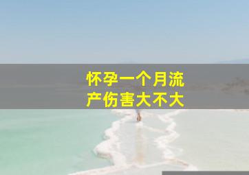 怀孕一个月流产伤害大不大