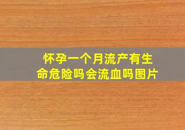 怀孕一个月流产有生命危险吗会流血吗图片