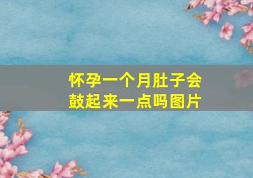 怀孕一个月肚子会鼓起来一点吗图片