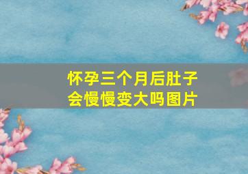 怀孕三个月后肚子会慢慢变大吗图片