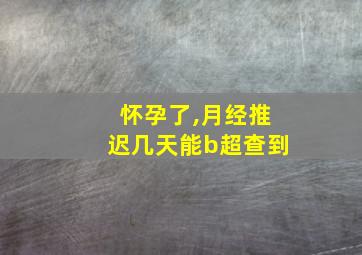 怀孕了,月经推迟几天能b超查到