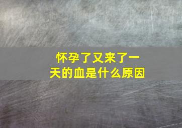 怀孕了又来了一天的血是什么原因