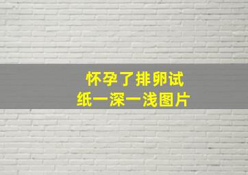 怀孕了排卵试纸一深一浅图片