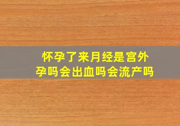 怀孕了来月经是宫外孕吗会出血吗会流产吗