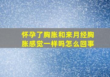 怀孕了胸胀和来月经胸胀感觉一样吗怎么回事