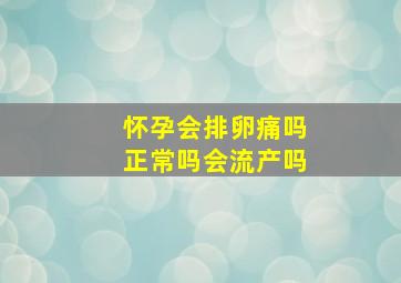 怀孕会排卵痛吗正常吗会流产吗