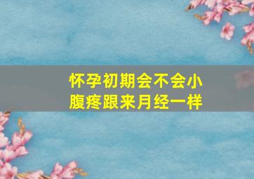 怀孕初期会不会小腹疼跟来月经一样