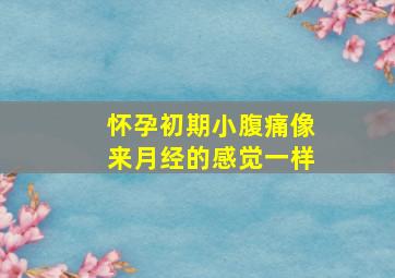 怀孕初期小腹痛像来月经的感觉一样