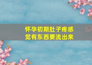 怀孕初期肚子疼感觉有东西要流出来