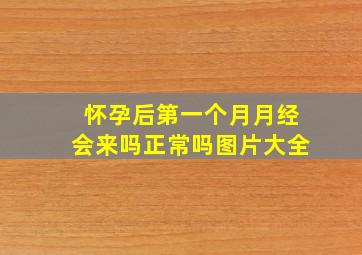 怀孕后第一个月月经会来吗正常吗图片大全