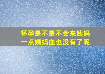 怀孕是不是不会来姨妈一点姨妈血也没有了呢