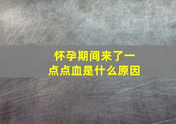 怀孕期间来了一点点血是什么原因