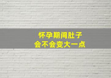 怀孕期间肚子会不会变大一点