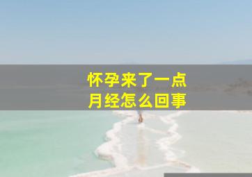 怀孕来了一点月经怎么回事