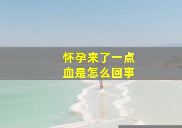 怀孕来了一点血是怎么回事